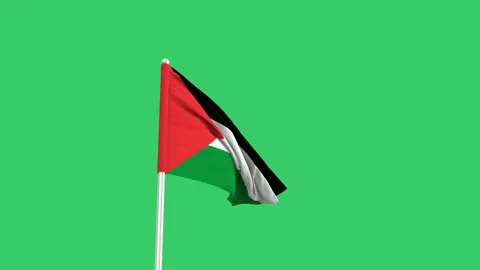 Palestinian flag waving in the wind on a green screen background 스톡 동영상 281293978