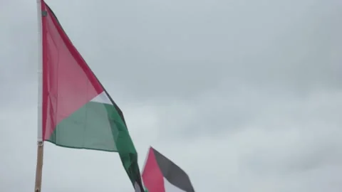 Palestinian flags waving in slow motion Stock Footage 155169076