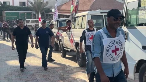 Palestinian Prisoners Released in Khan Yunis Stock Footage 320748307