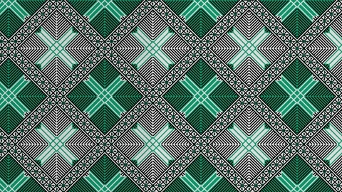 Palestinian Tatreez loop Video stock 285060718