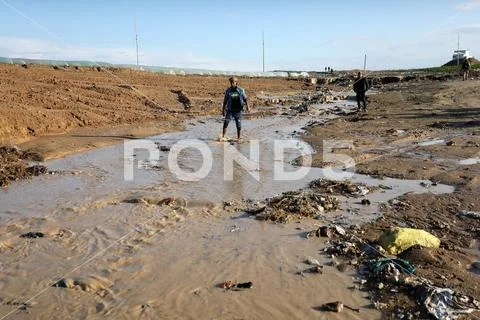 Photograph: Palestinians inspect thier flood lands after Israel opened ...