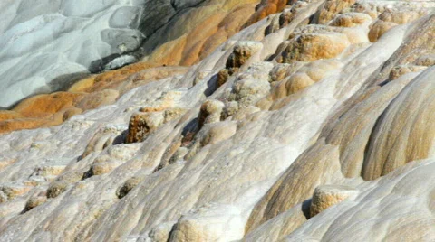 Palette Spring 2 BigWeb Stock Footage 878989