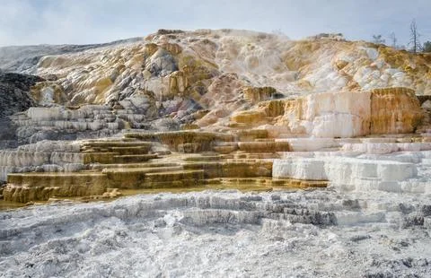 Palette Springs. Devils thumb at the Mammoth Hot Springs. Yellowstone Natio.. Stock Photos