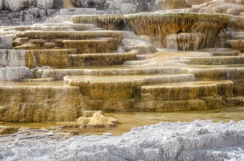 Palette Springs. Devils thumb at the Mammoth Hot Springs. Yellowstone Natio.. Stock Photos