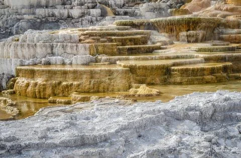 Palette Springs. Devils thumb at the Mammoth Hot Springs. Yellowstone Natio.. Stock Photos