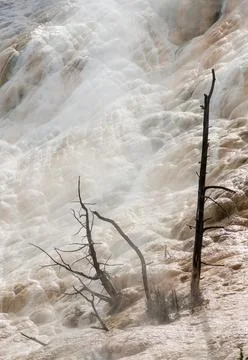 Palette Springs. Devils thumb at the Mammoth Hot Springs. Yellowstone Natio.. Stock Photos