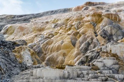Palette Springs. Devils thumb at the Mammoth Hot Springs. Yellowstone Natio.. Stock Photos