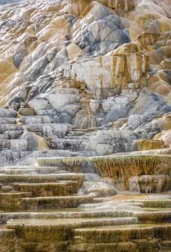 Palette Springs. Devils thumb at the Mammoth Hot Springs. Yellowstone Natio.. Stock Photos