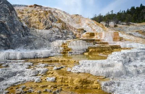 Palette Springs. Devils thumb at the Mammoth Hot Springs. Yellowstone Natio.. Stock Photos