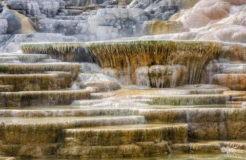 Palette Springs. Devils thumb at the Mammoth Hot Springs. Yellowstone Natio.. Stock Photos