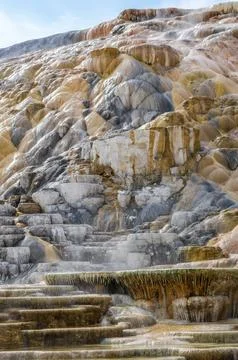 Palette Springs. Devils thumb at the Mammoth Hot Springs. Yellowstone Natio.. Stock Photos
