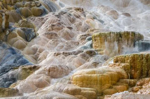 Palette Springs. Devils thumb at the Mammoth Hot Springs. Yellowstone Natio.. Stock Photos