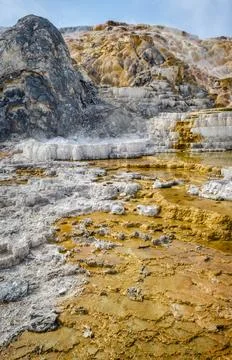 Palette Springs. Devils thumb at the Mammoth Hot Springs. Yellowstone Natio.. Stock Photos