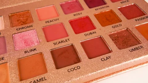 Palette Of Various Make-Up Eyeshadow. Professional Cosmetics Set For Women Vidéo 154167015