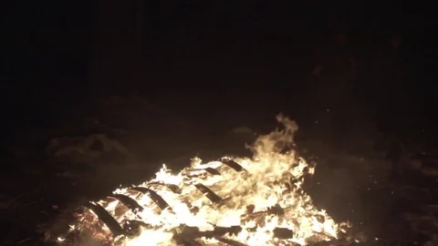 Palettes burning on a winter bonfire in slow motion Stock Footage 72597325