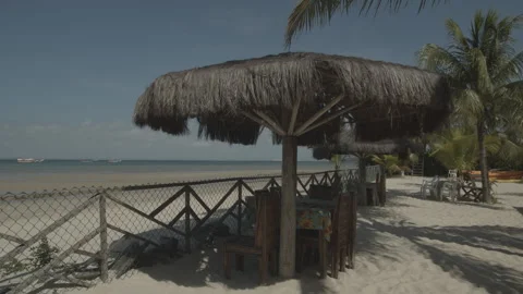 Palhas de coqueiro folhas com flare de sol ao fundo com brilho Stock Footage 169029645