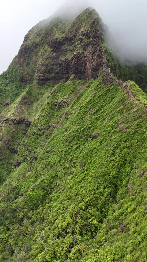 Pali Notches Koolau Range Oahu Video stock 325430421