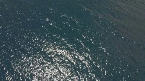 Pali3 Stock Footage 134494343