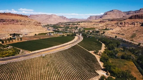 Palisade Colorado Stock Footage 119384079