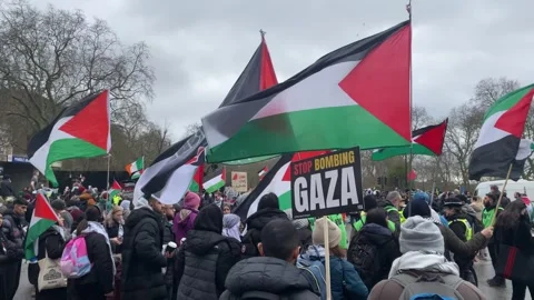 Palistine Protests -  London Stock Footage 264966469