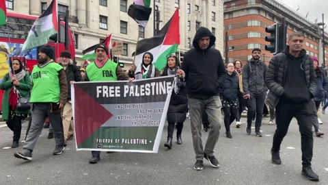 Palistine Protests -  London Stock Footage 264966530