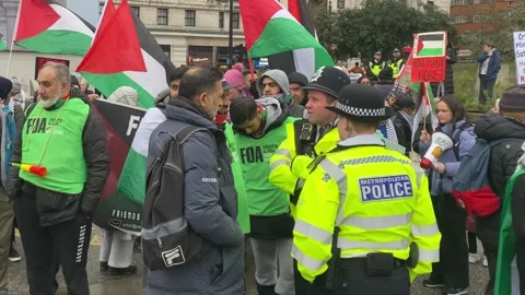 Palistine Protests -  London Stock Footage 264967755