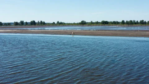 Pallas's fish eagle, Haliaeetus leucoryphus, on sand beach in the middle of pond Stock Footage 167761986