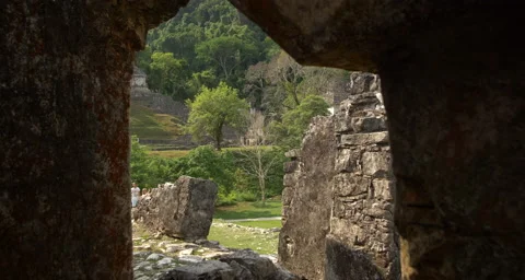 Pallenque Video stock 211468022