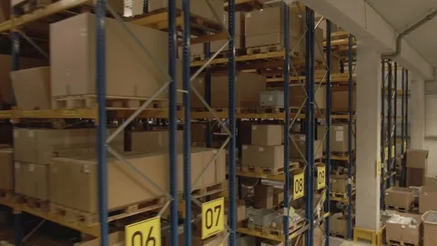 Pallet Racking With Cardboard Boxes, Logistics Warehouse, Tracking Shot Видео 341435678