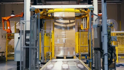 Palletizing robot wraps stretch Stock Footage 74288190