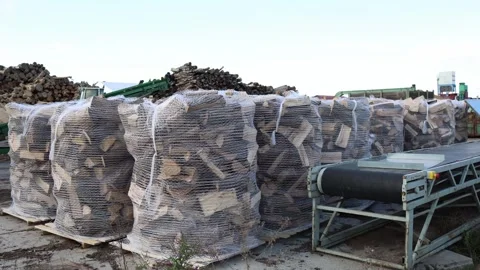 Pallets with chopped firewood packed in net bags stacked at lumber yard near con Stock Footage 318217855