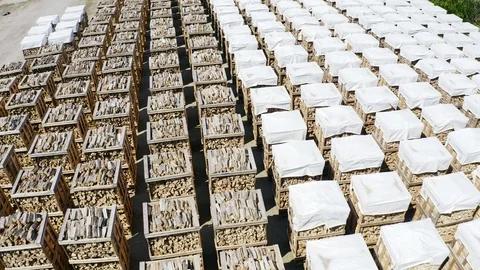 Pallets with firewood Stock Footage 108484176