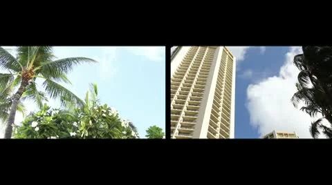 Palm and Hotel Stock Footage 8995744