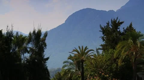 Palm and Mountains Vídeos de archivo 10154766