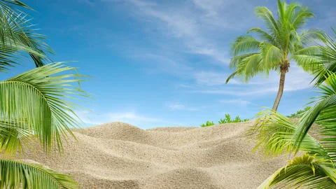 Palm and sand on blue sky Stock Footage 132370890