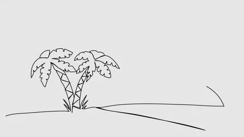 Palm and sunset on the beach. One line drawing animation. Video clip with alpha  Stock Footage 271735224