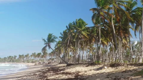 Palm beach and clear wave turquoise sea landscape Stock Footage 140581831