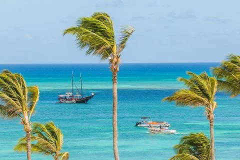 Palm Beach at Aruba Stock Photos