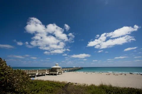 Palm beach dock Stock Photos