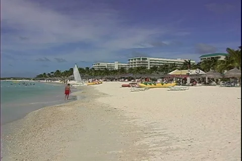 Palm Beach Stock Footage 819429