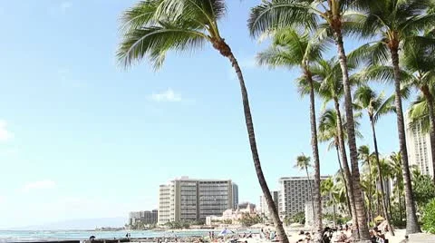 Palm Beach Stock Footage 8995798