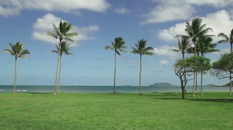 Palm Beach Stock Footage 11221087