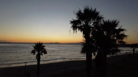 Palm Beach Stock Footage 183793466