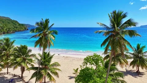 Palm beach with an idyllic pristine ocean and crystal clear turquoise water. Vídeo Stock 330096979