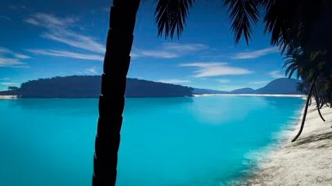 Palm Beach Illustrazione stock