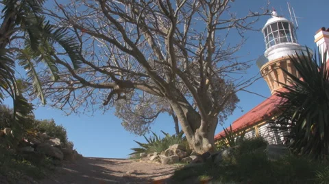 Palm Beach Lighthouse 스톡 동영상 3475923