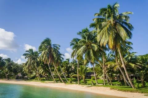 Palm beach Stock Photos