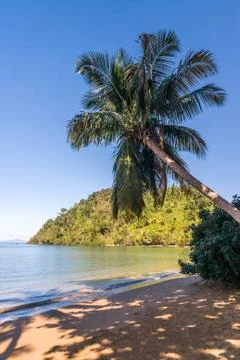 Palm beach Stock Photos