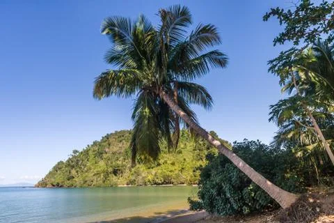 Palm beach Stock Photos