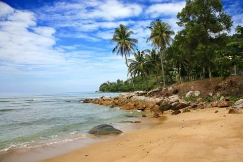 Palm beach Foto stock